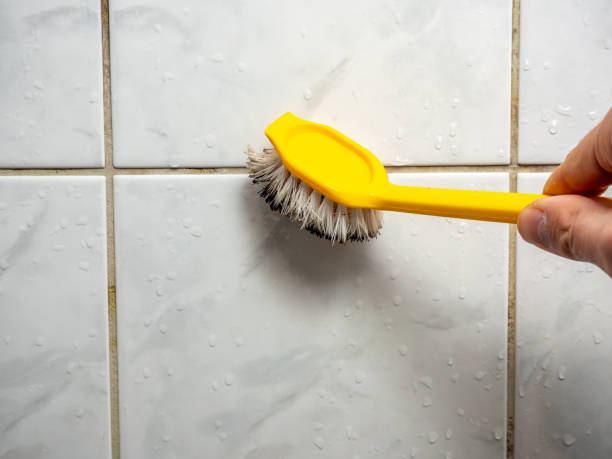 Best DIY Mold Remediation Support Services in Clyde, NY